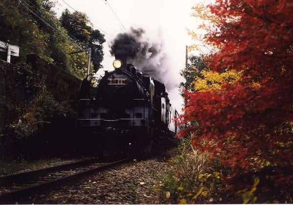 【千葉県内発】 1泊3食付!富士山眺望 東海道グルメ旅 ~紅葉の大井川鐵道SL列車と日本平夢テラス・三保の松原~2日間1